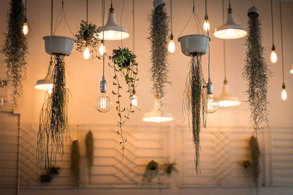 Retro Vintage Dimmable Edison Light Bulb