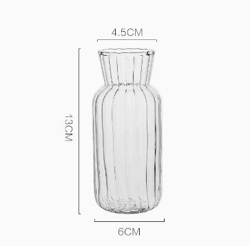 Hydroponic Nordic Glass Transparent Vase