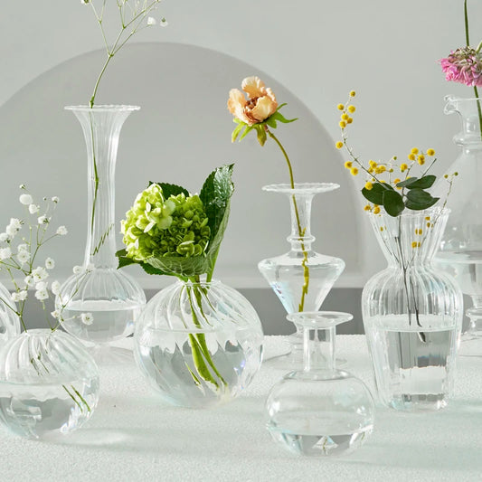 Hydroponic Nordic Glass Transparent Vase