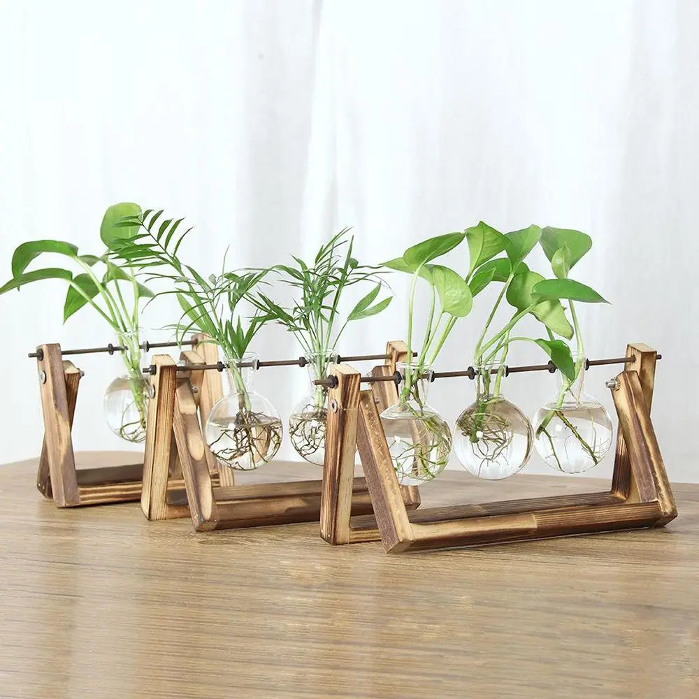 Wooden Frame Glass Terrarium Planter