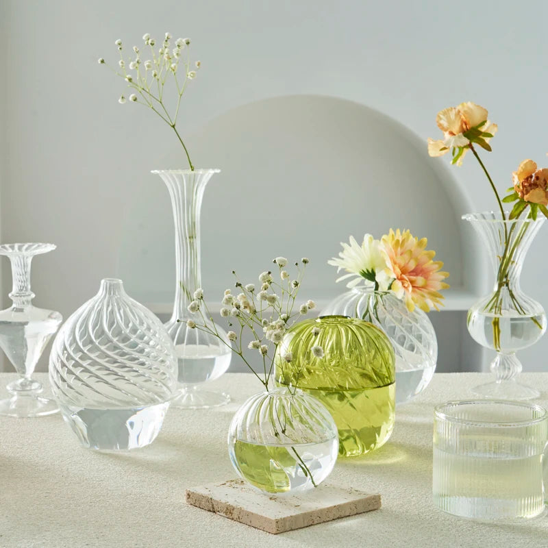 Hydroponic Nordic Glass Transparent Vase