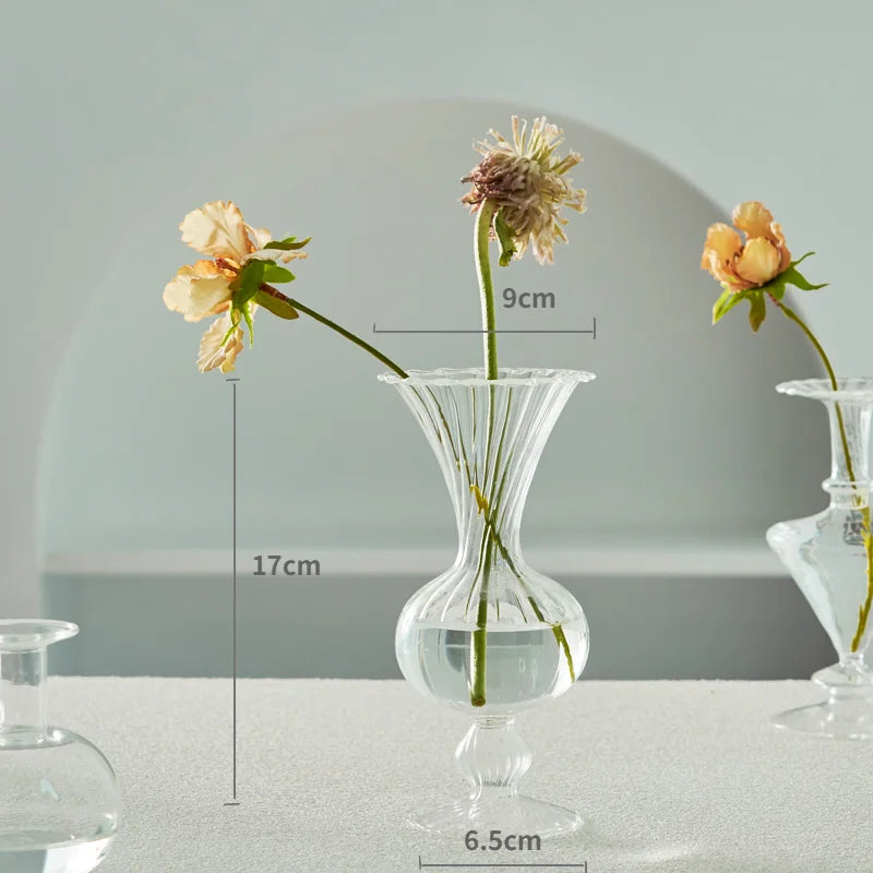 Hydroponic Nordic Glass Transparent Vase
