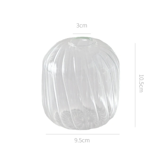 Hydroponic Nordic Glass Transparent Vase